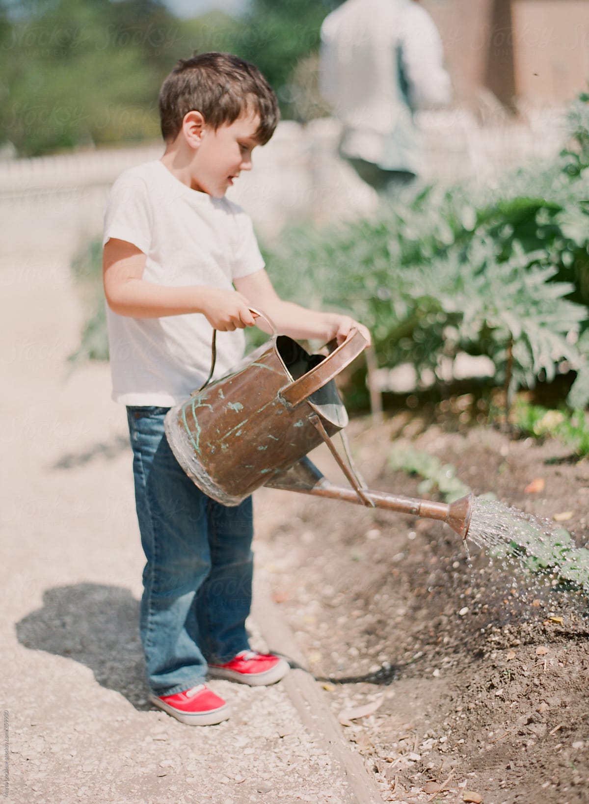 Young boy using an old watering can to water the garden plants