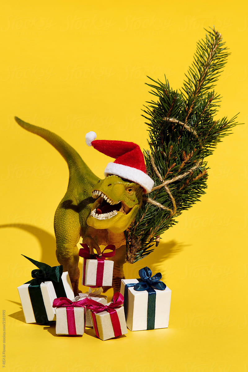 Christmas Hat Holding Fir And Presents 