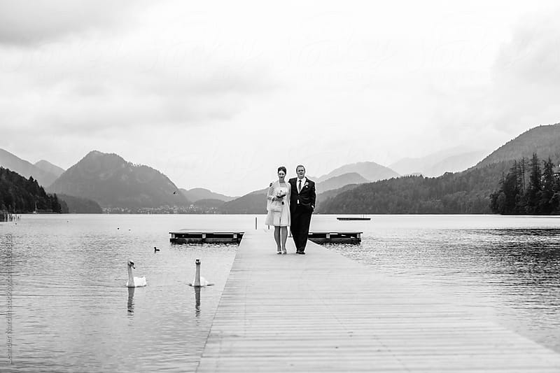 bridal couple walking on a jetty escorted by a swimming swan couple - black and white