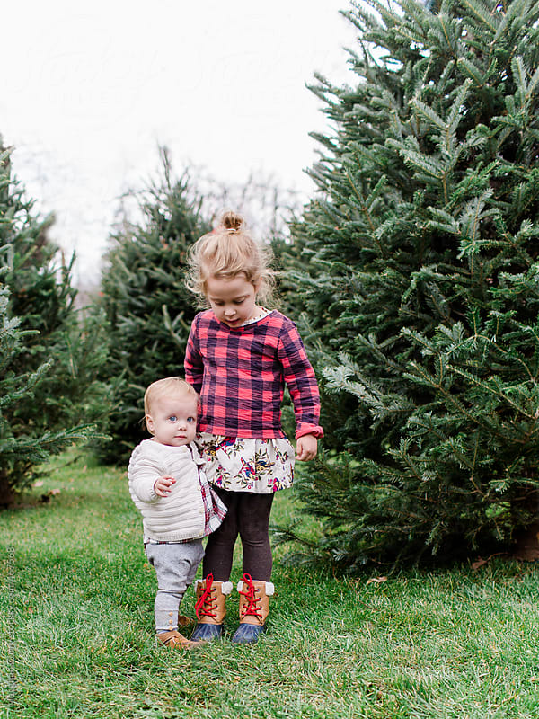 two little girls picking out a Christmas tree by Meaghan Curry ...