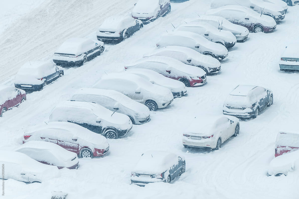 Cars covered with snow on parking lot