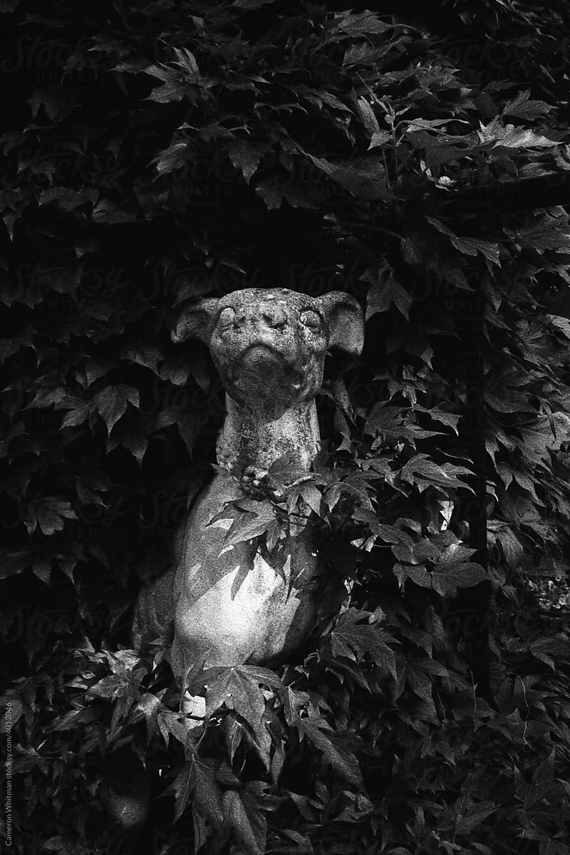 Dog statue in foliage