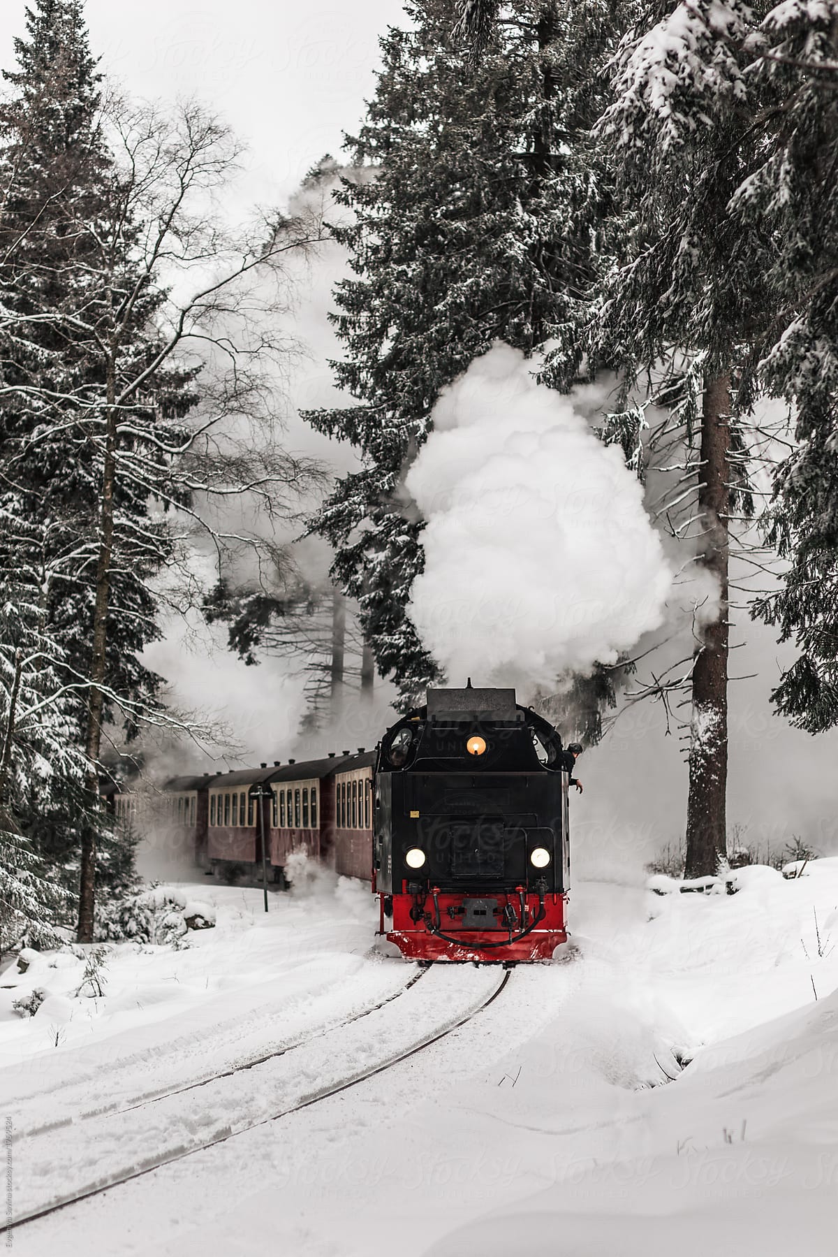 Steam train riding through winter forest