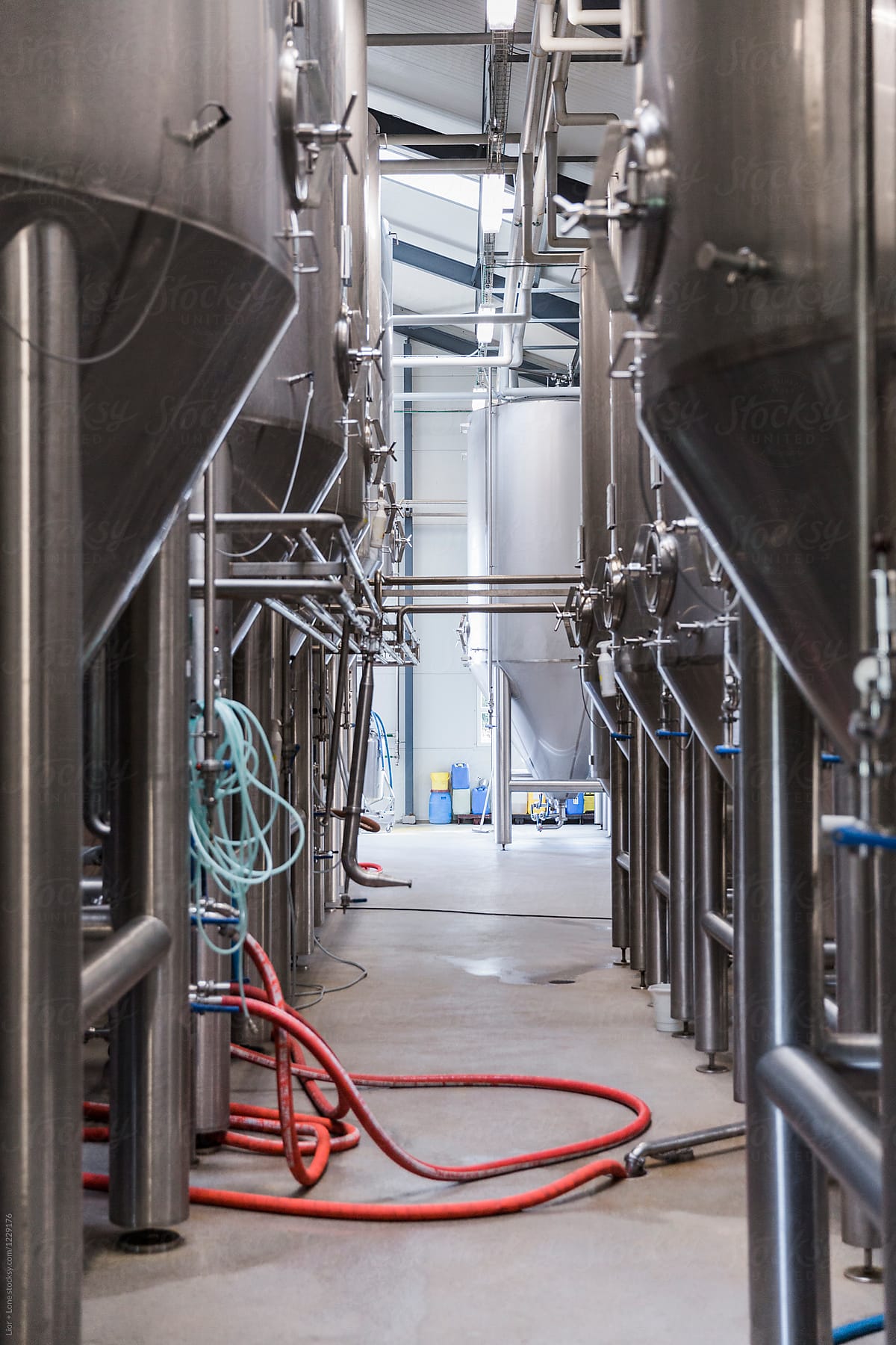 rows of fermentation containers in a brewery