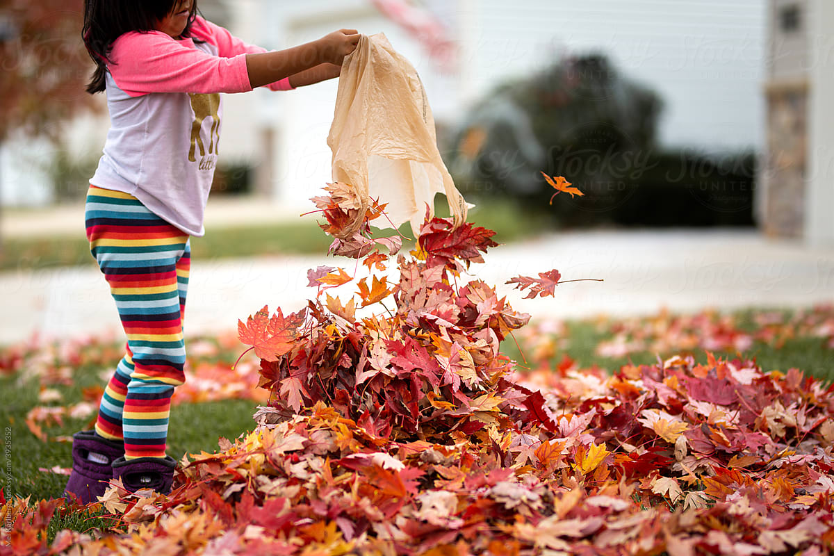Young girl pouring leaves from a bag in a neighborhood yard