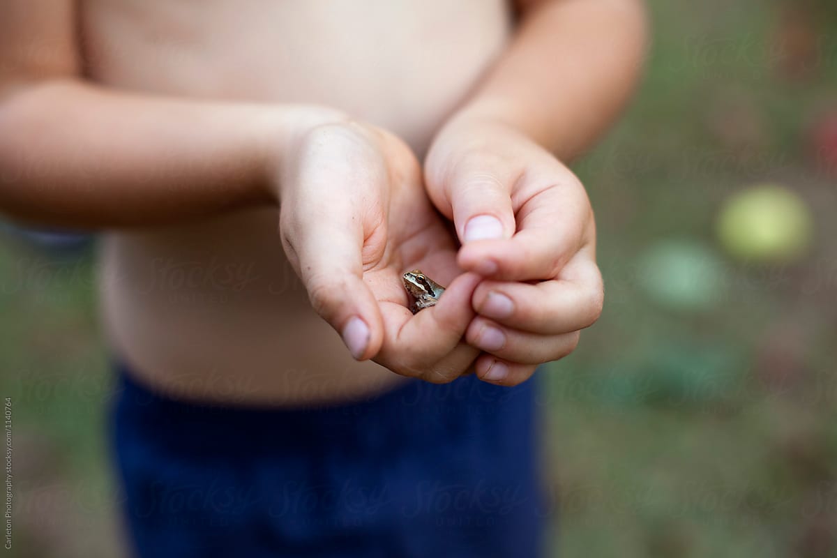 Shirtless boy holds tree frog