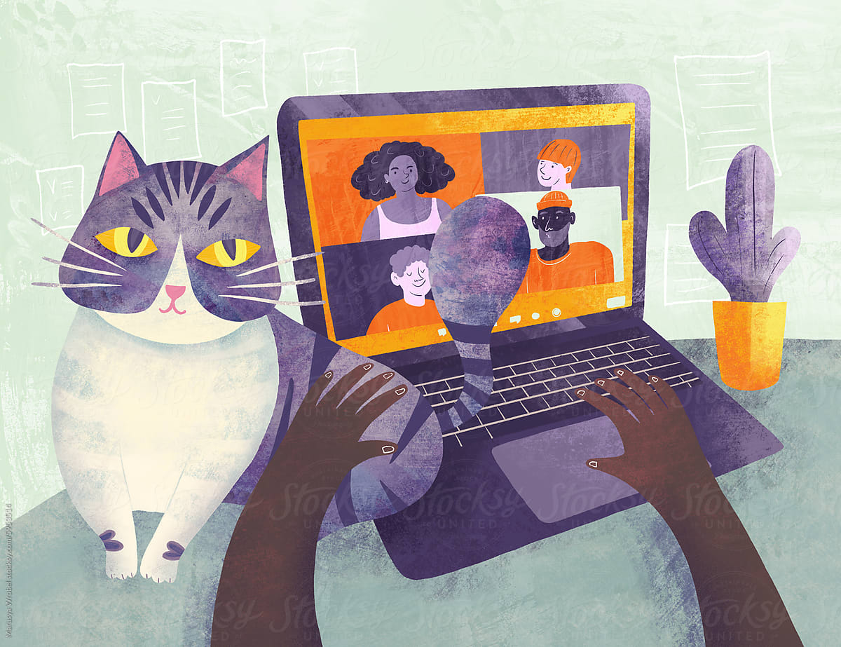 Cat Overlooking Virtual Meeting on Laptop