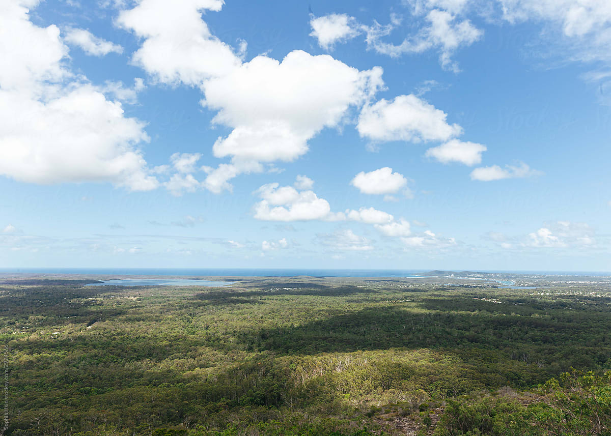 view of sky and grasslands around noosa, australia