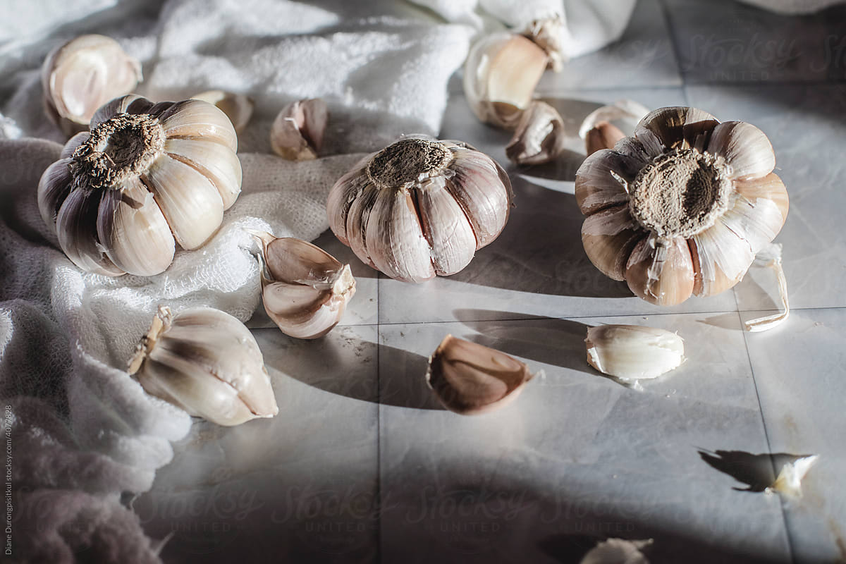 Garlic Cloves on White Background