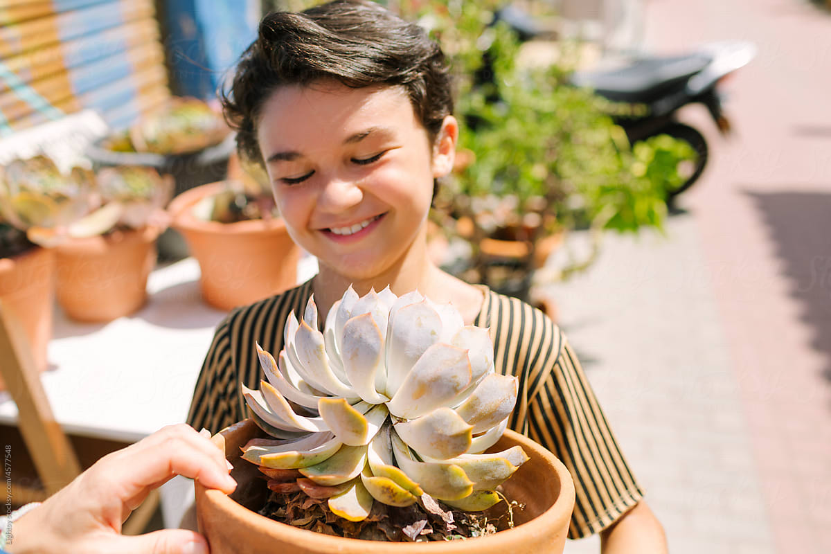 Happy boy with a big succulent