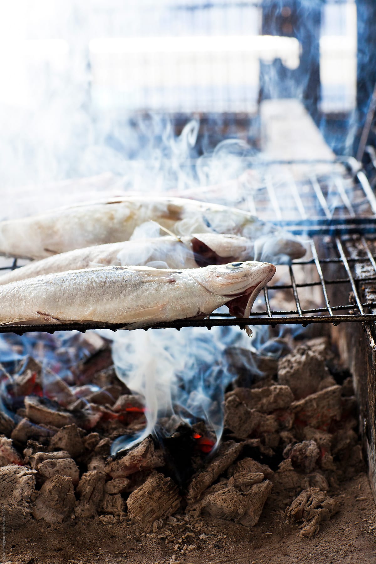 Grilled Fish In Greece