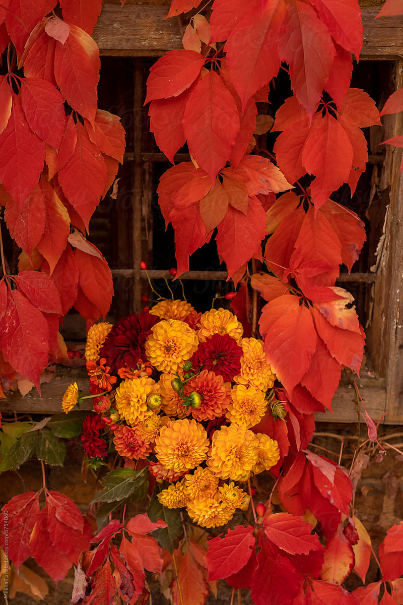 autumn bouquet of flowers