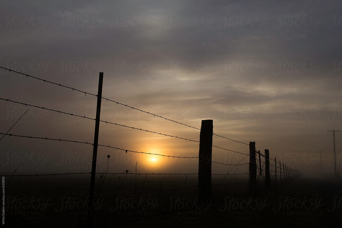 Foggy Fence Sunrise