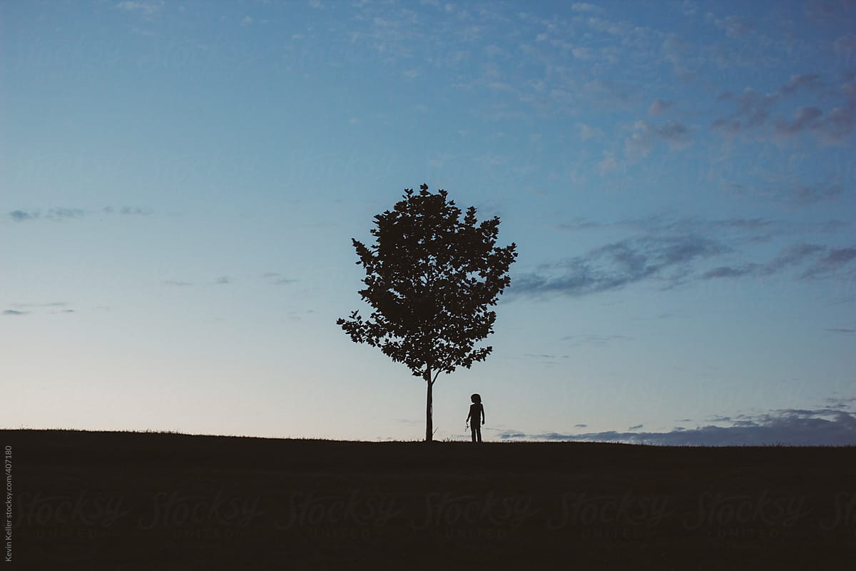 Boy Standing Near Tree During Sunset By Kevin Keller