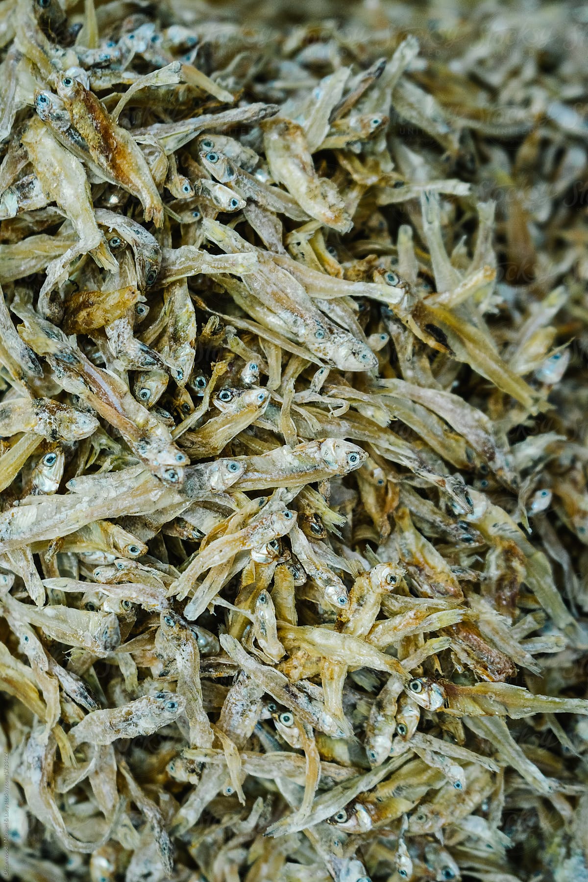 Dried tiny fish for sale