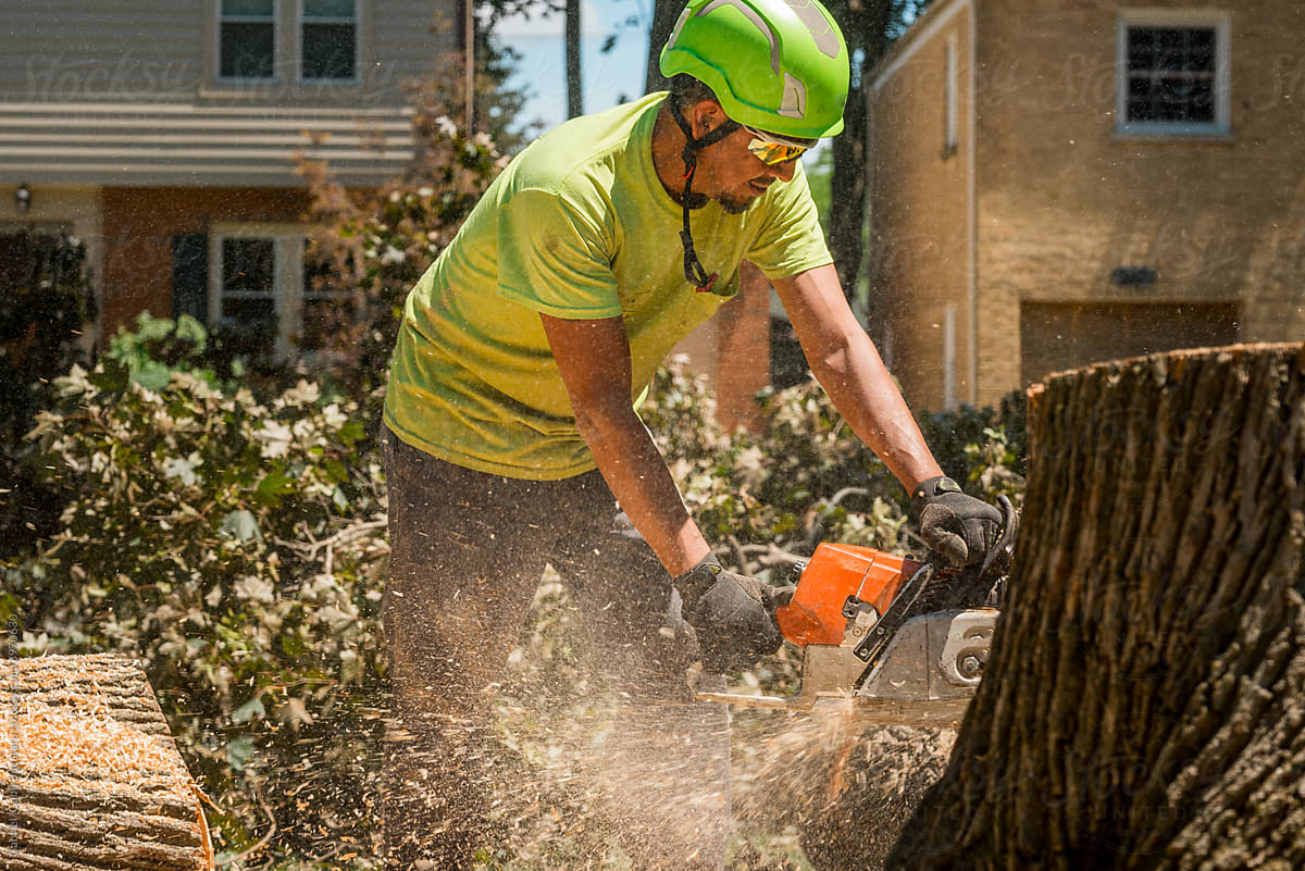 Tree service worker cutting a log
