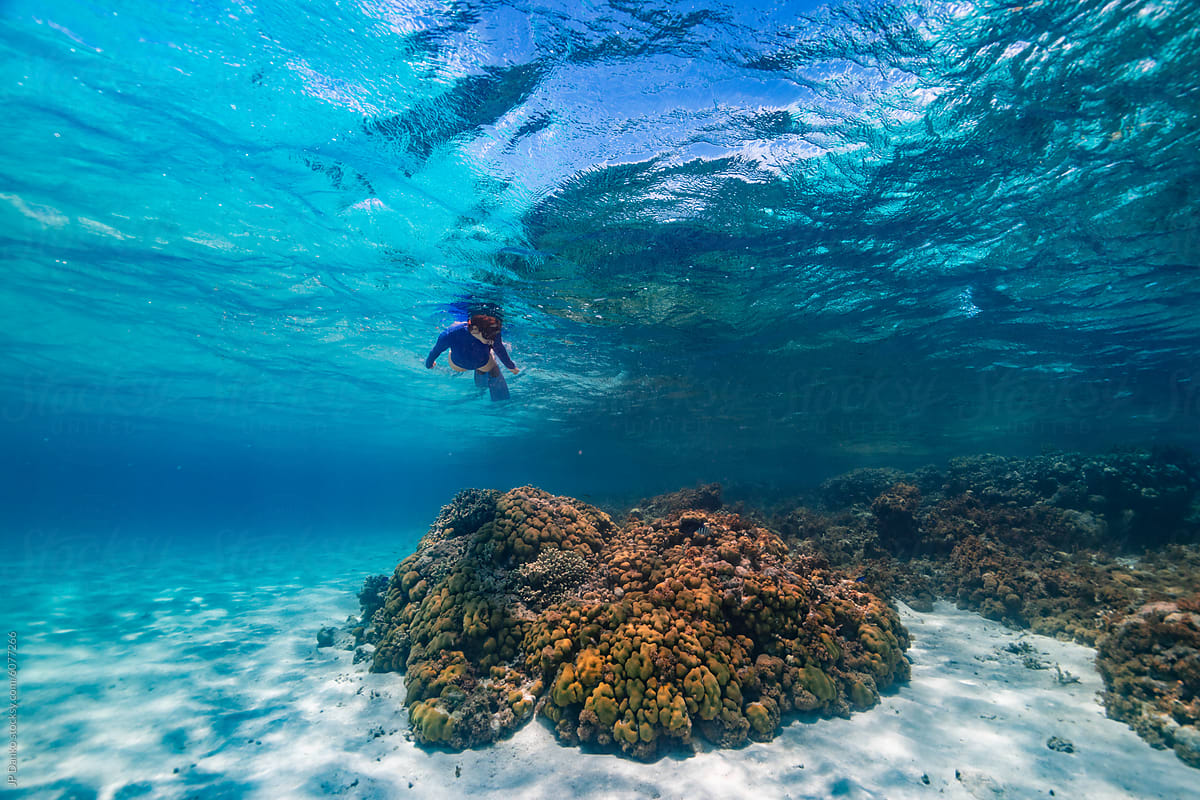 Woman Swimming Over Caribbean Coral Reef Anegada BVI