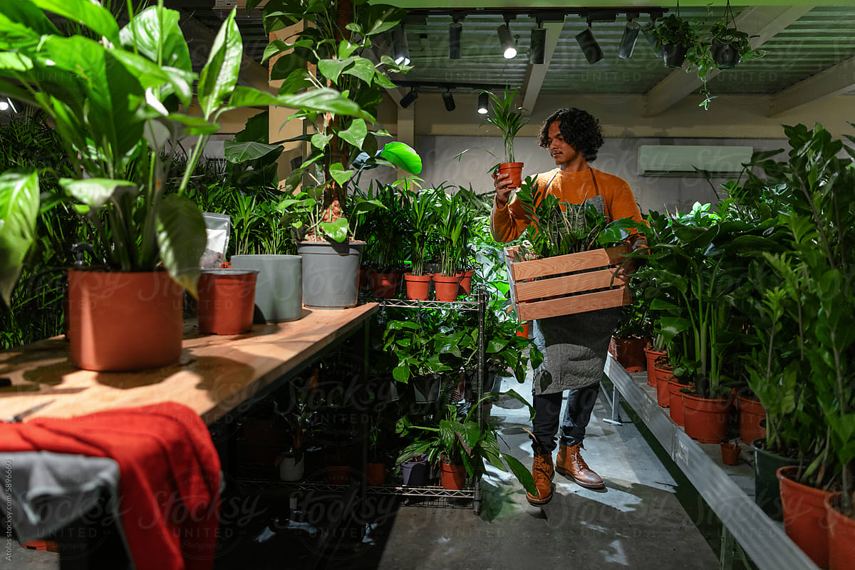 Man carrying crate of plants
