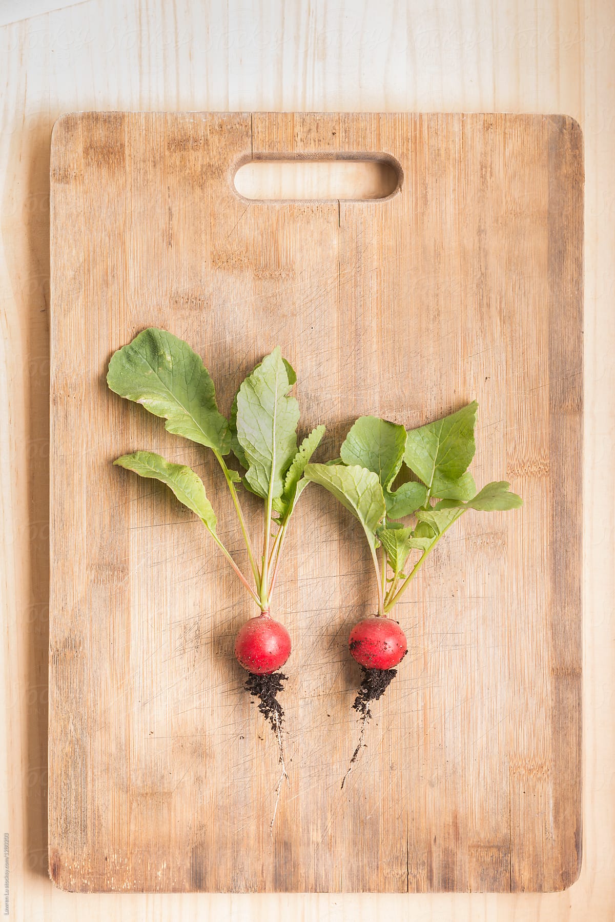 Two small radishes stained with the ground on wooden cutting boa