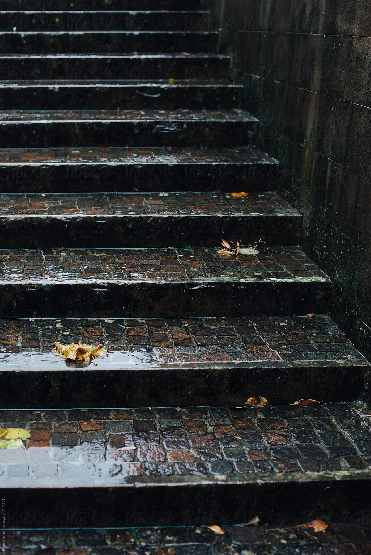 Rainy stairs