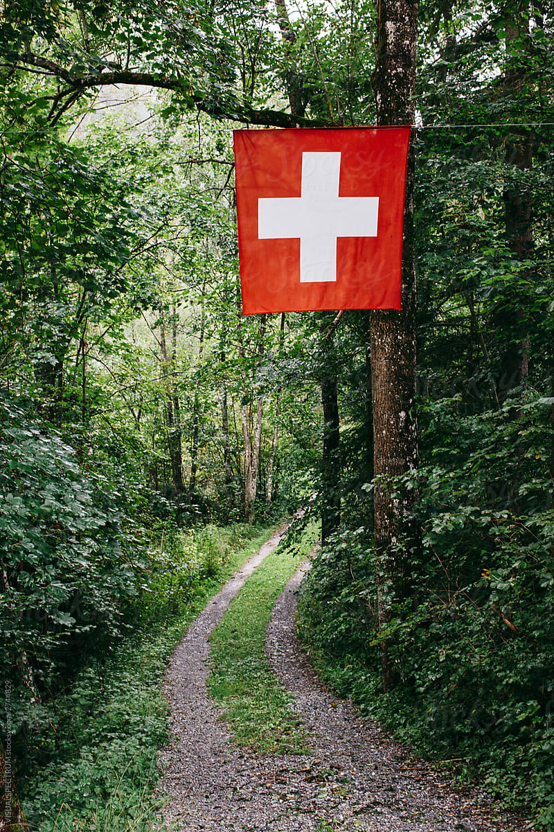 Swiss Flag Hanging in Forest