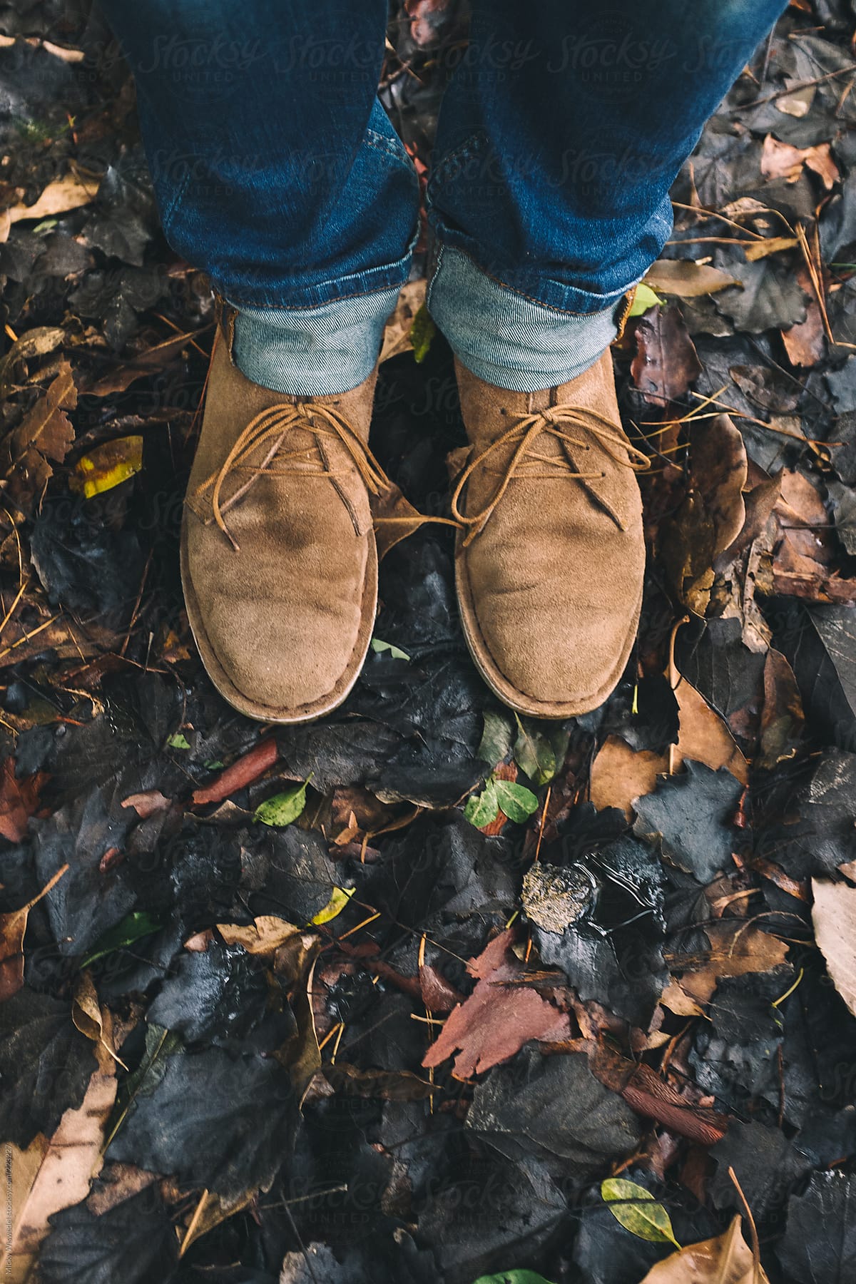 leather shoes on forest leaves