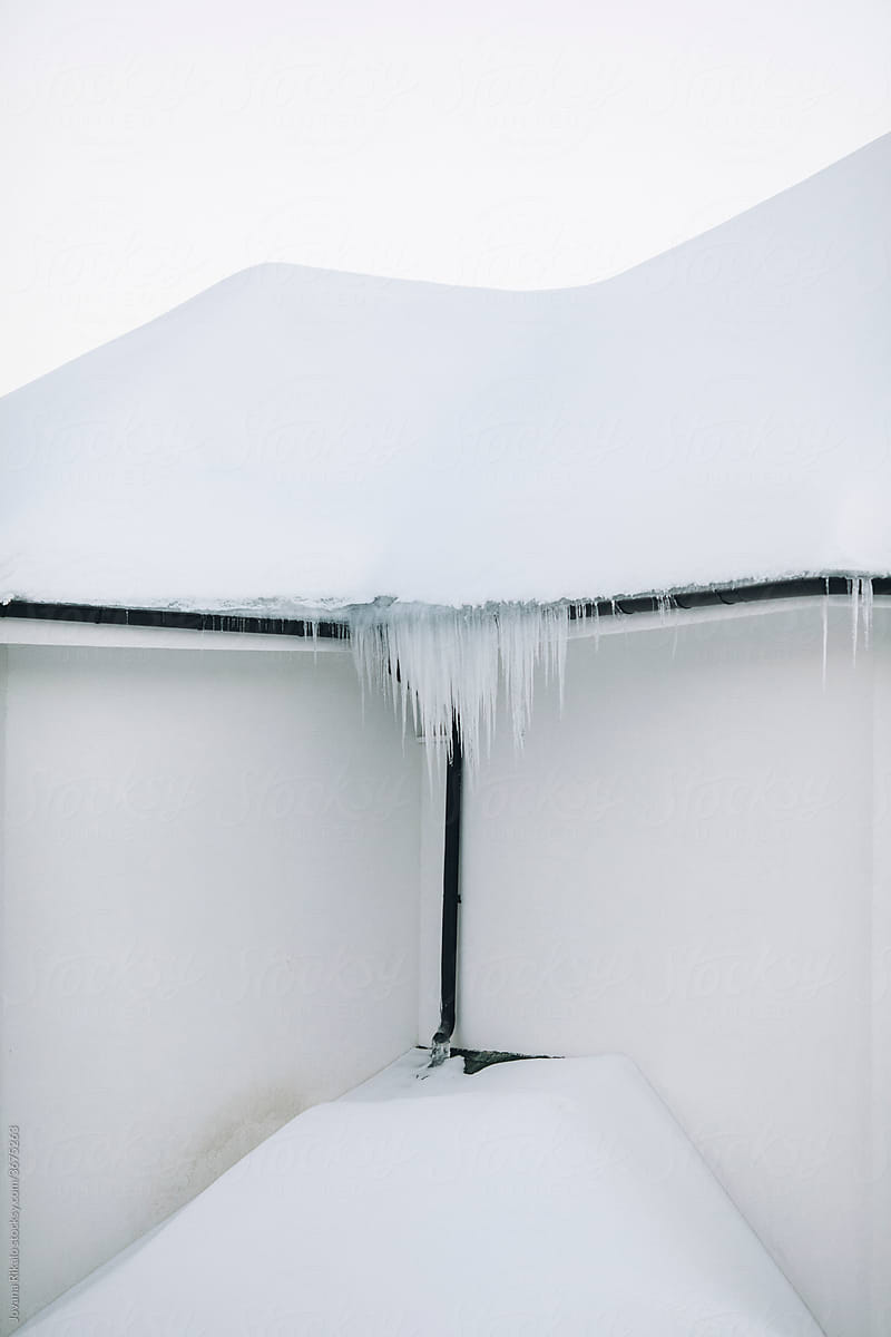 White icicle