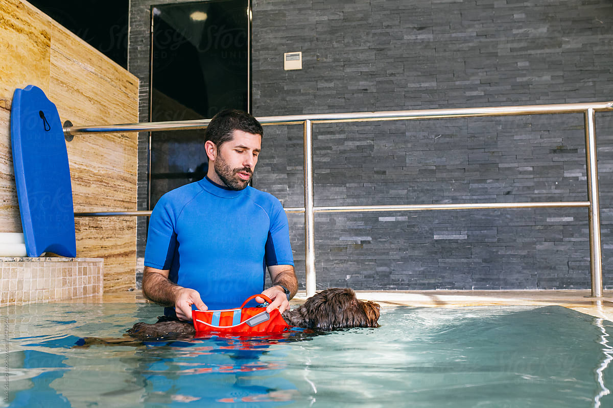 Adult man teaching dog to swim