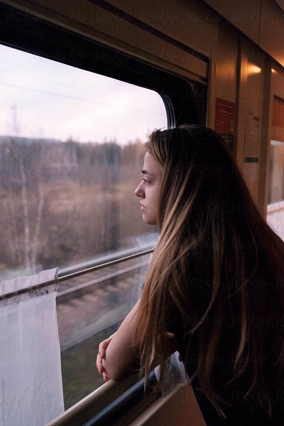 Long-haired traveller watching forest through train window