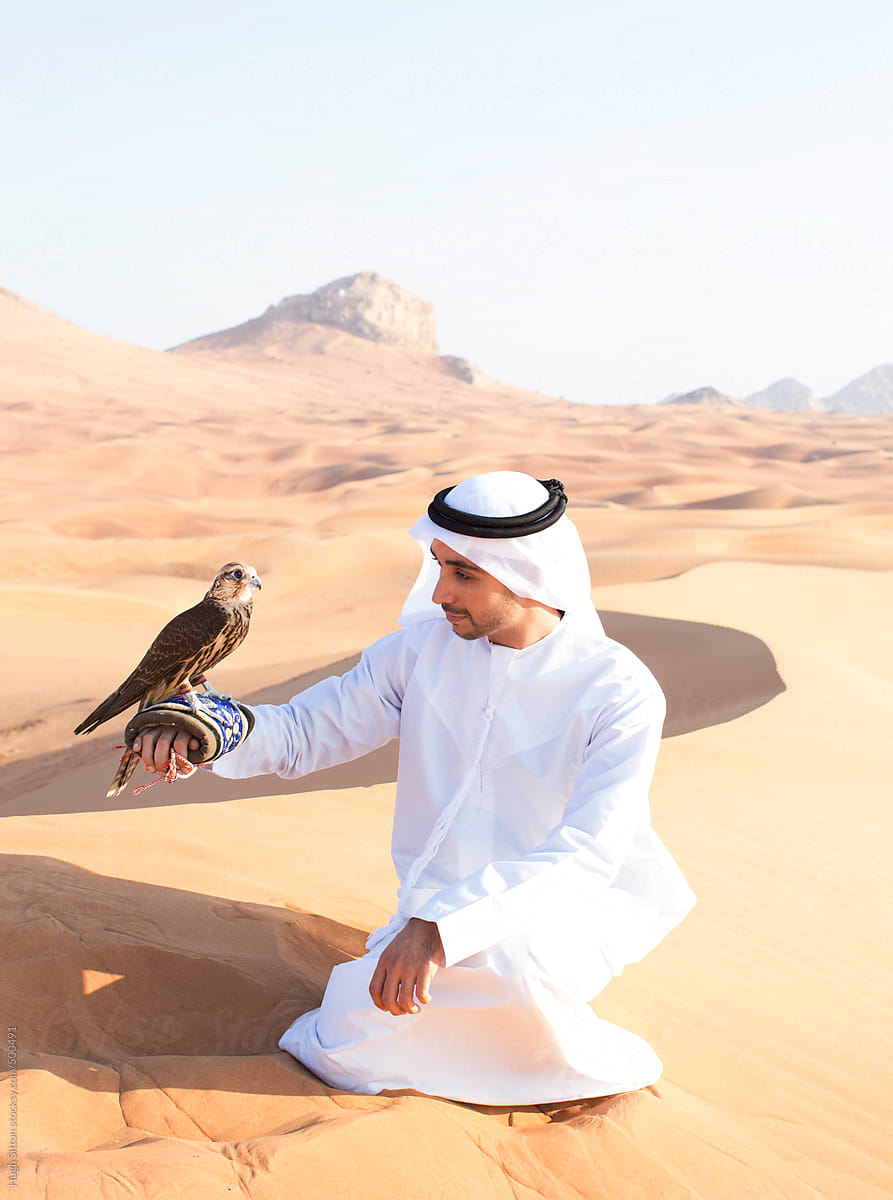 Arabian man in the desert with falcon. Dubai. U.A.E.