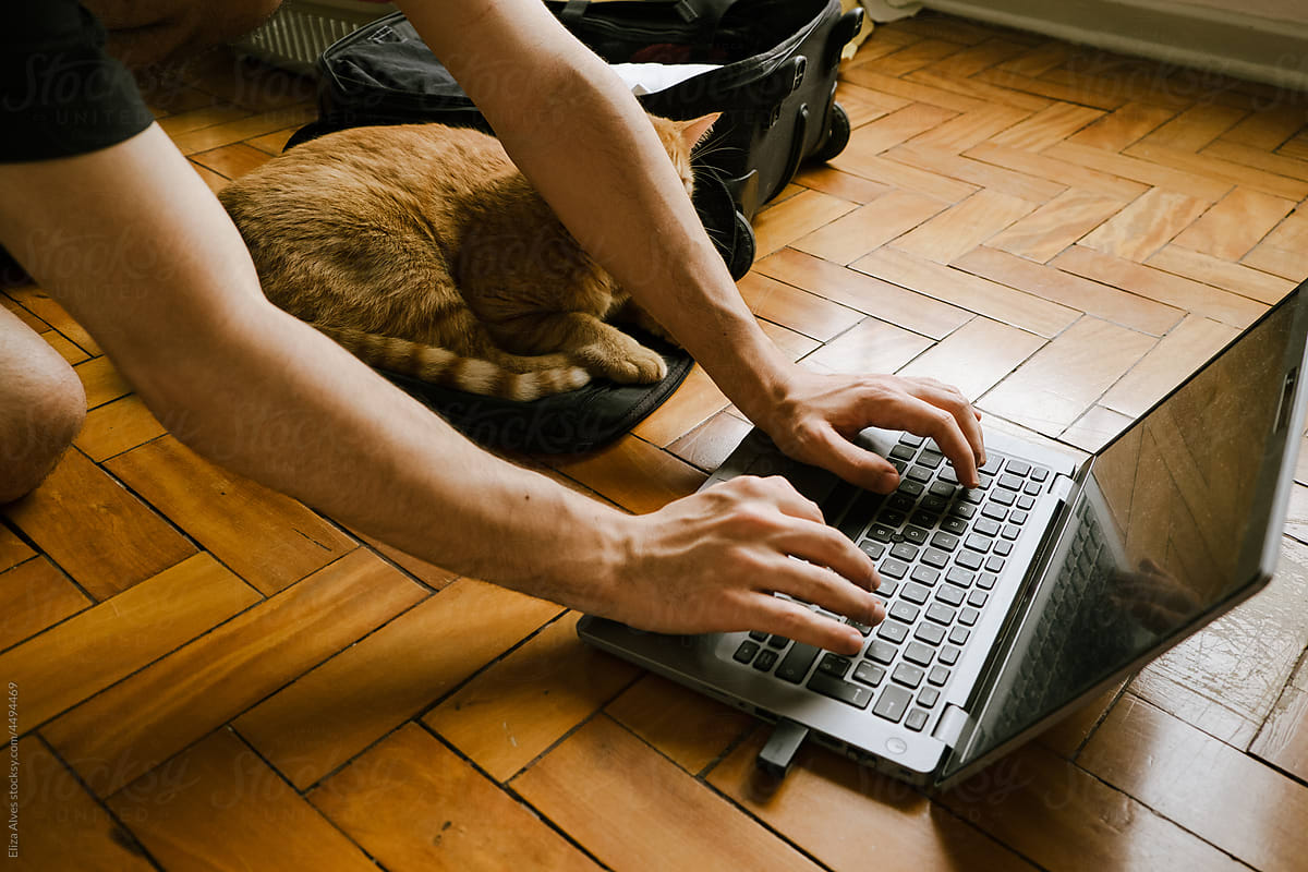 Young man working on the floor with a cat