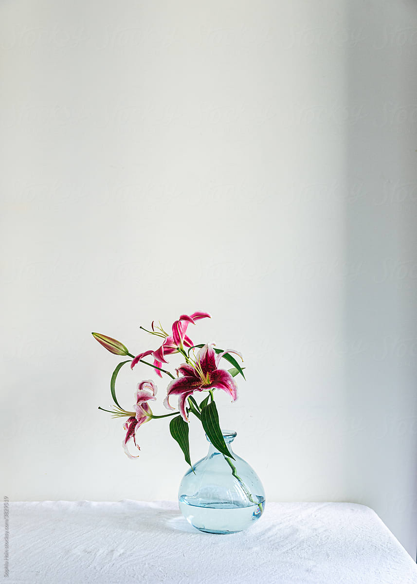 Lily in a glass vase