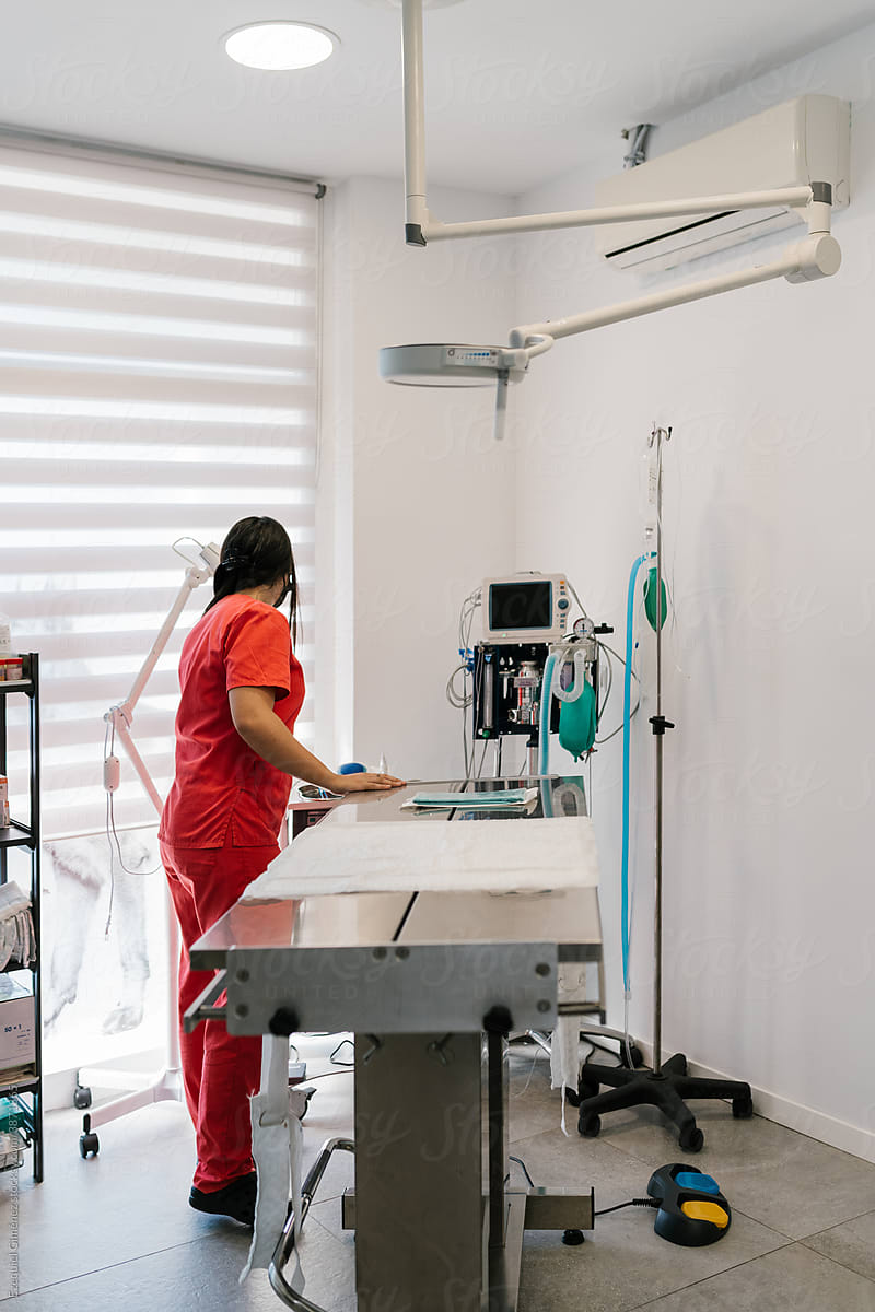 Veterinarian preparing an operating table in a clinic
