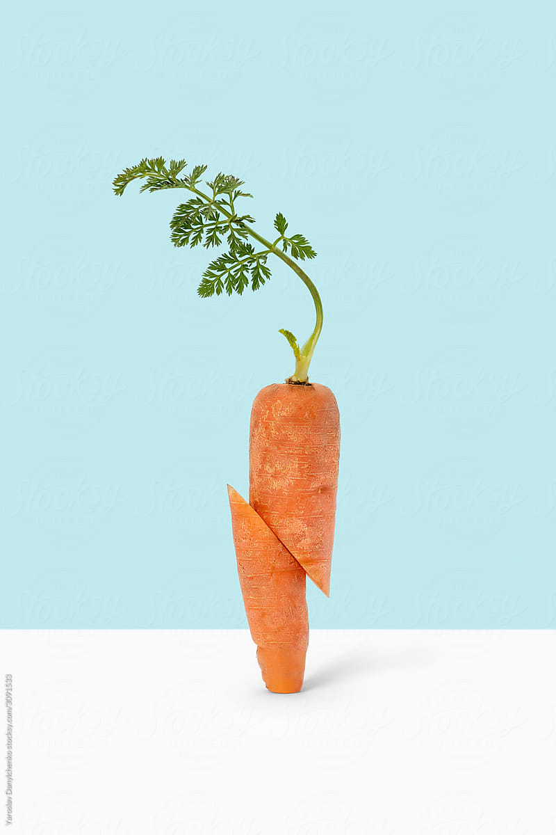 Diagonally cut raw carrot vegetable.