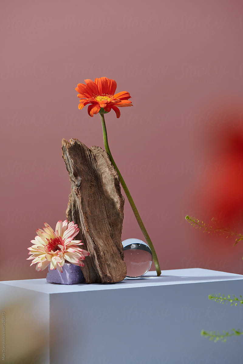Wooden slice podium with flowers on color background
