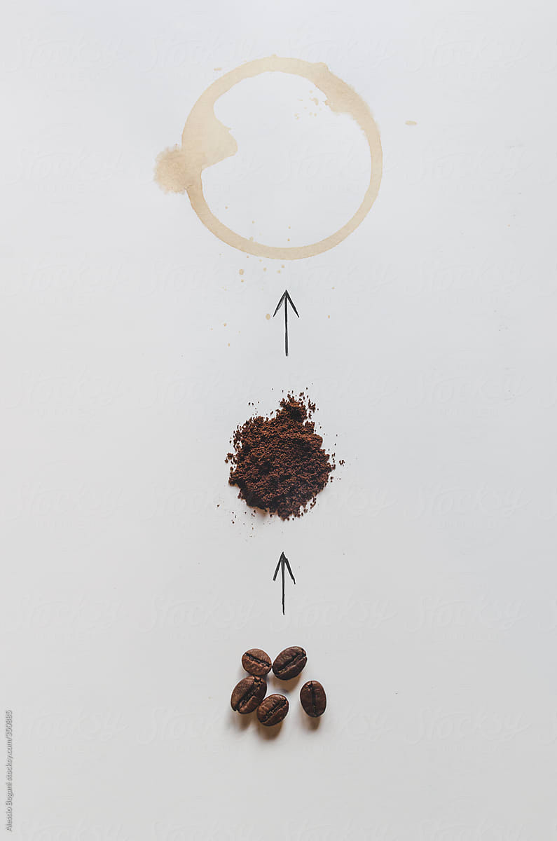 Coffee drinking cycle