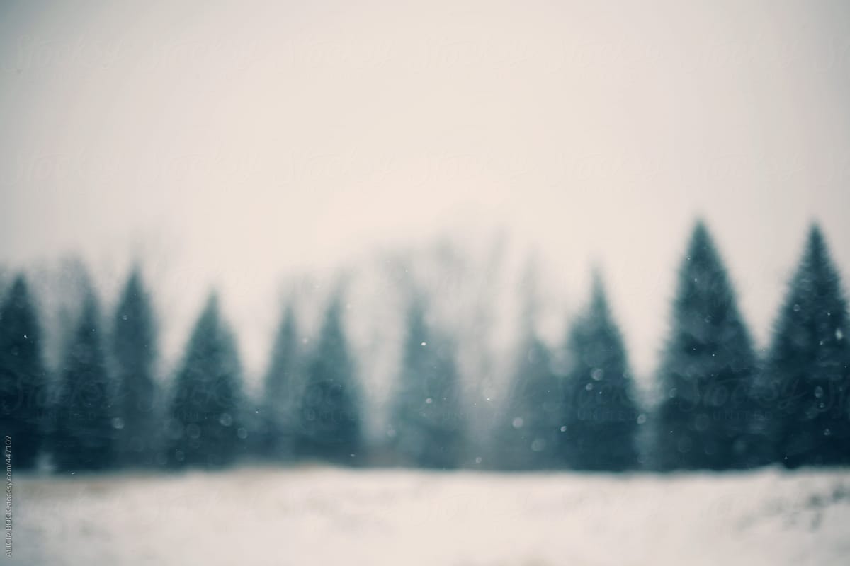 Abstract Pine Trees On A Snowy Day