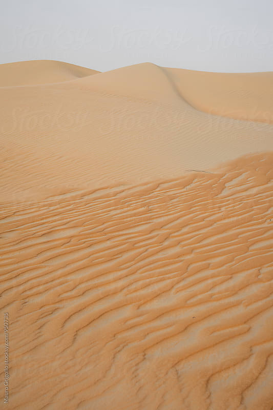 United Arab Emirates. Empty Quarter desert.