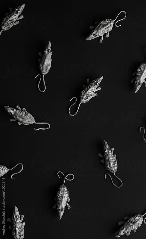 White rats/mouses on black background/toy replica