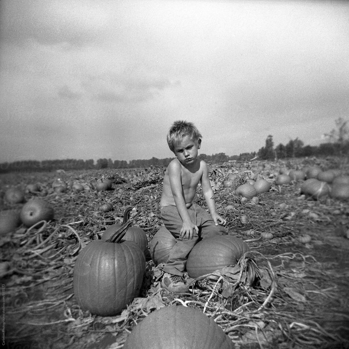 Grumpy shirtless boy in pumpkin patch