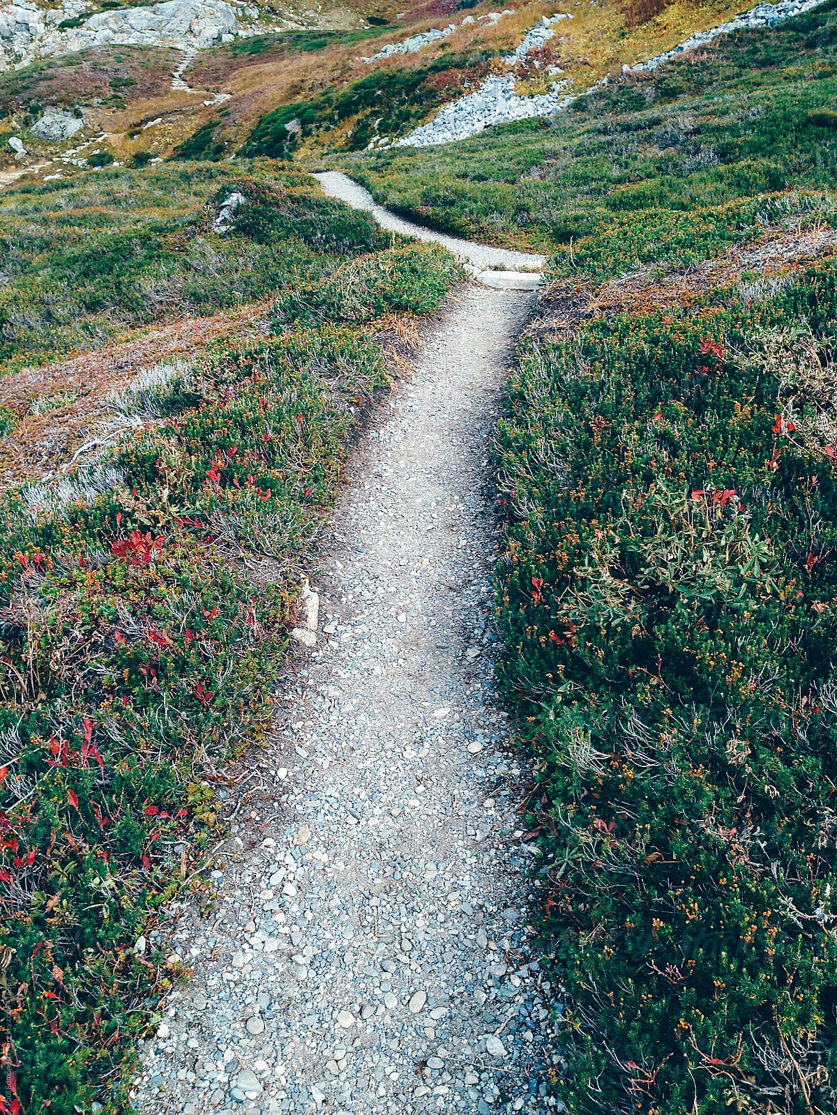 Hiking trail through alpine meadow in autumn