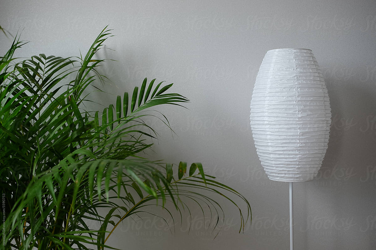 Plant and paper lamp