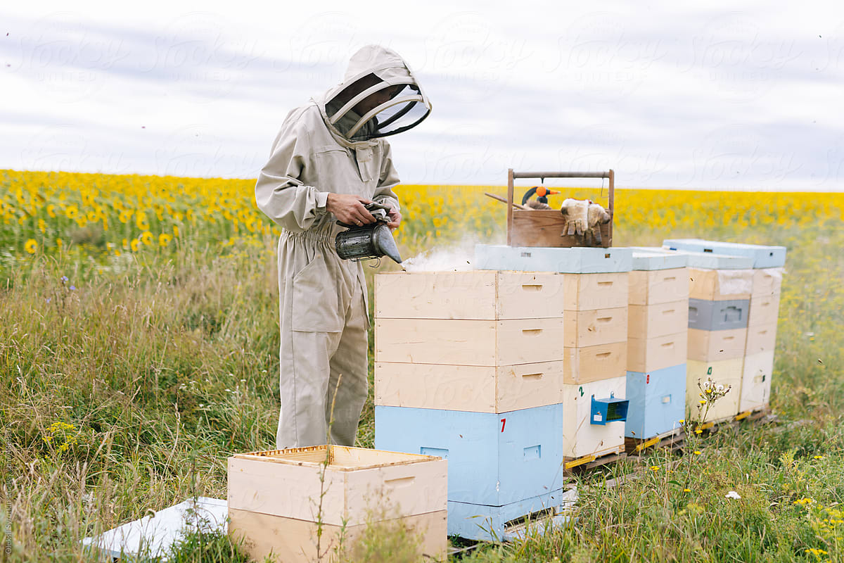 Beekeeper smoke bee smoker apiculture