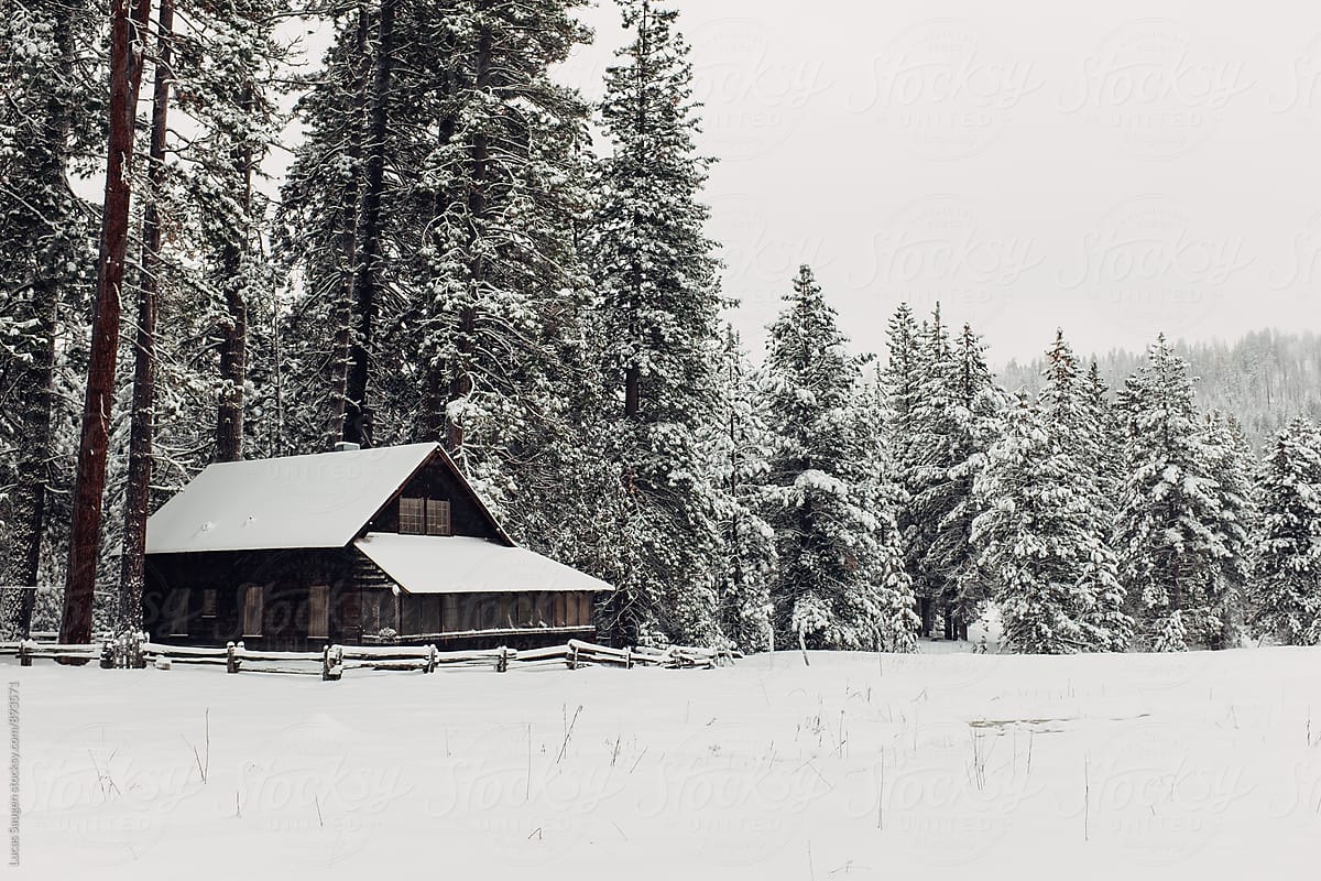 A little cottage in the woods in the middle of the winter.