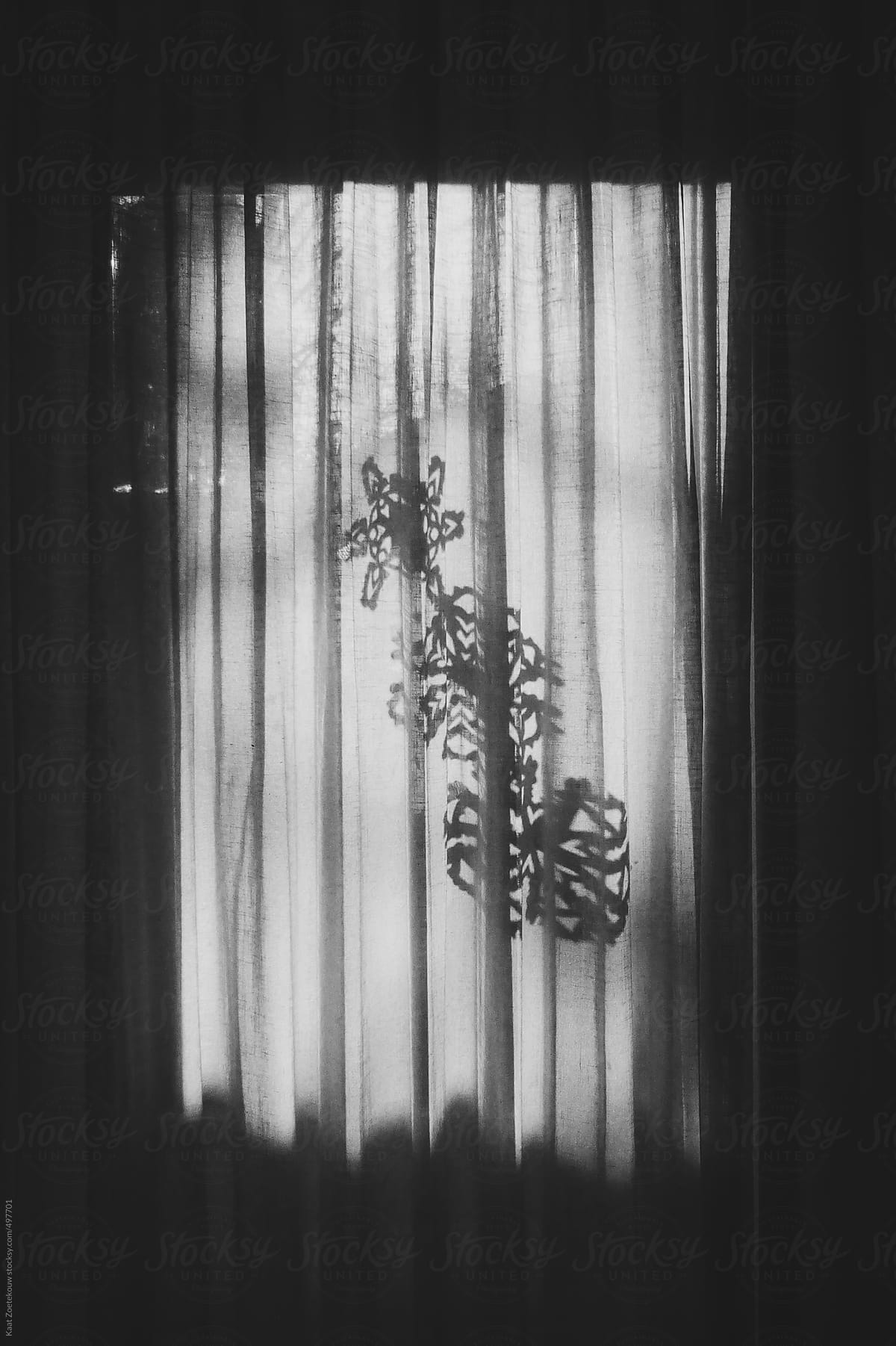 Backlit paper snowflakes behind a sheer curtain
