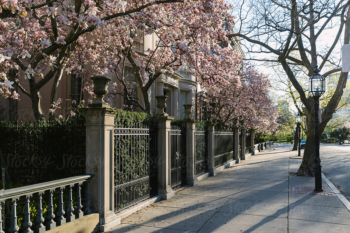 Boston Sidewalk in Spring