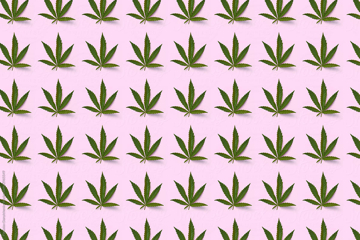 Cannabis green leaf pattern.