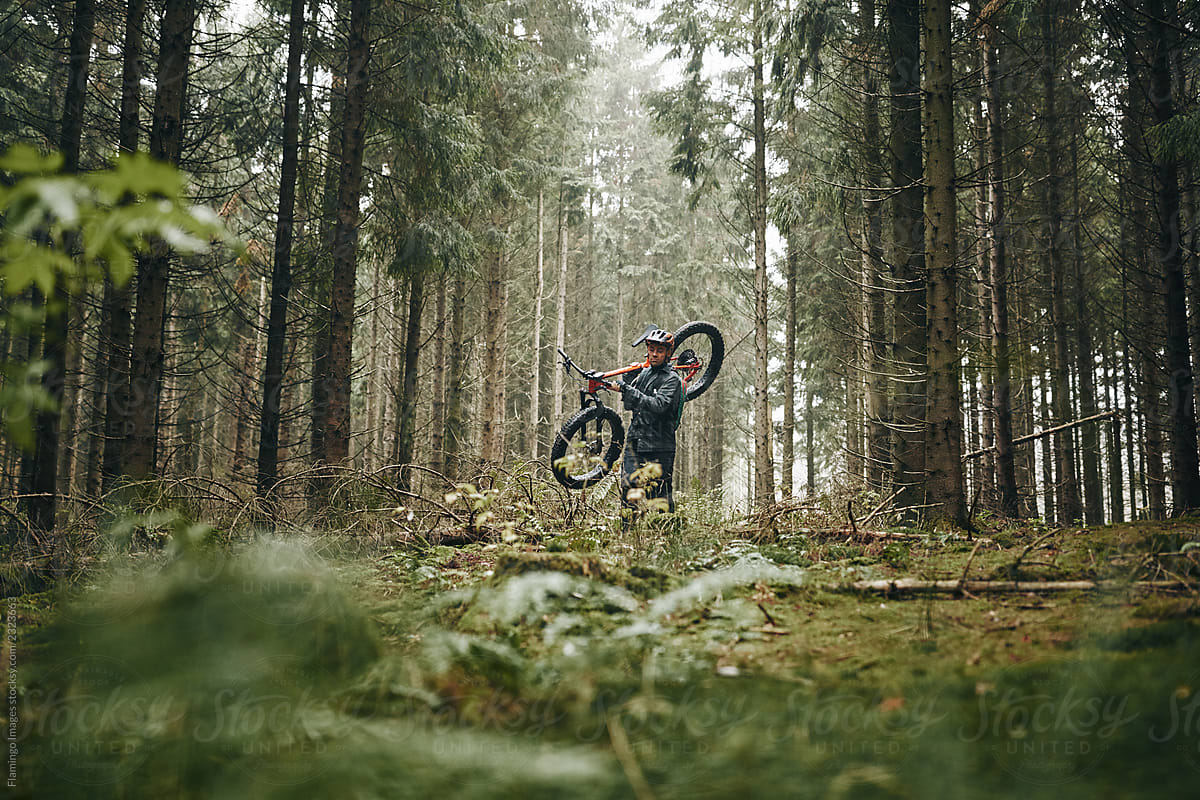 Lone rider carrying his mountain bike along a forest trail