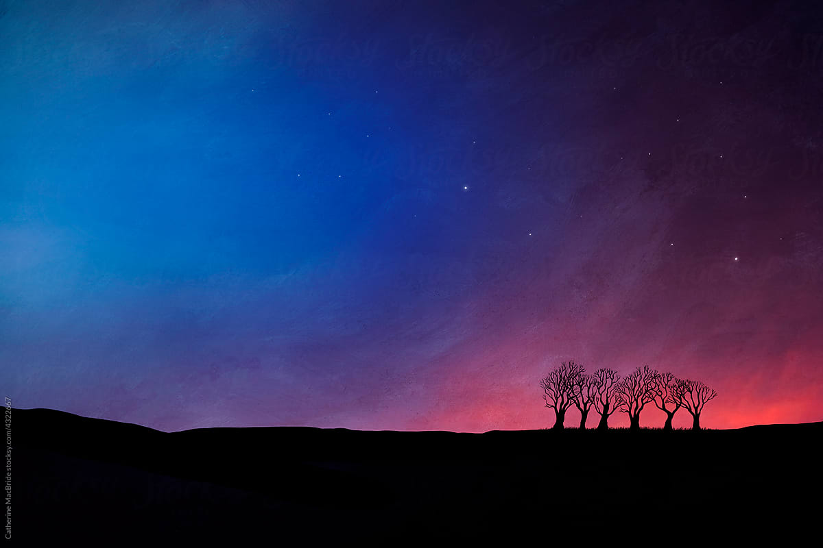Dusk with Trees an illustration