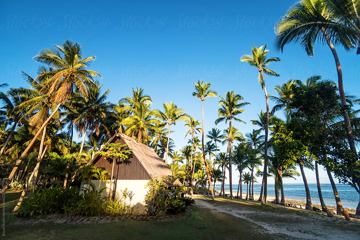 Traditional thatched roofed huts in Viti Levu, Fiji